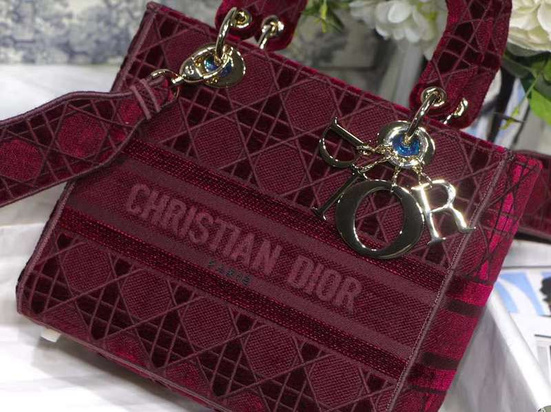 LO - DYOR   BAGS FOR WOMEN - FASHION LUXURY BAGS 491