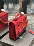 YSL BAGS - WOMEN LOVE LUXURY BAGS - 307