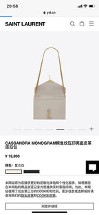 BB - YSL Bag - 3667