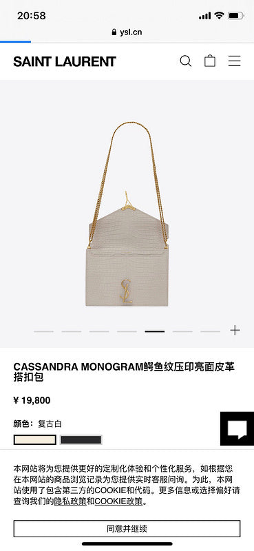 BB - YSL Bag - 3667