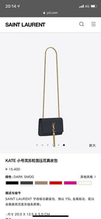 BB - YSL Bag - 3664