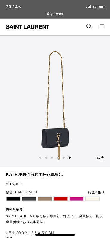 BB - YSL Bag - 3664