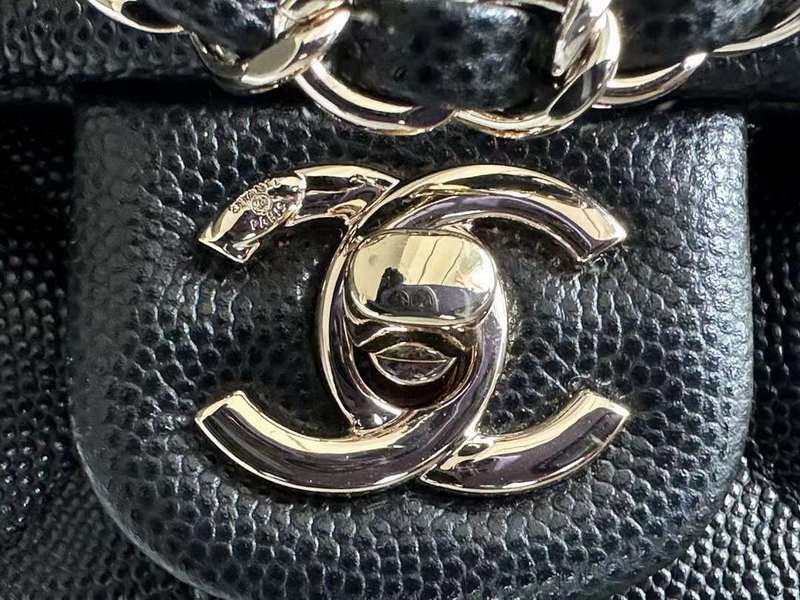 LO - CHL  BAGS FOR WOMEN - FASHION LUXURY BAGS - 333