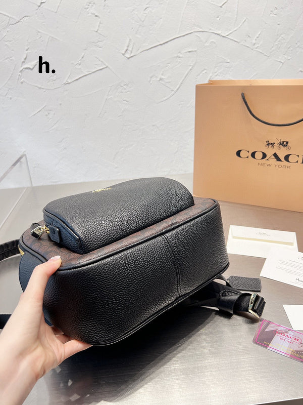LO - CCH Bags - 291