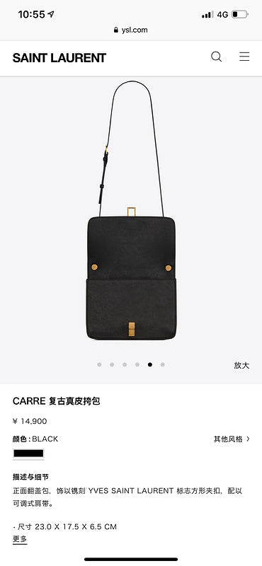 BB - YSL Bag - 3785