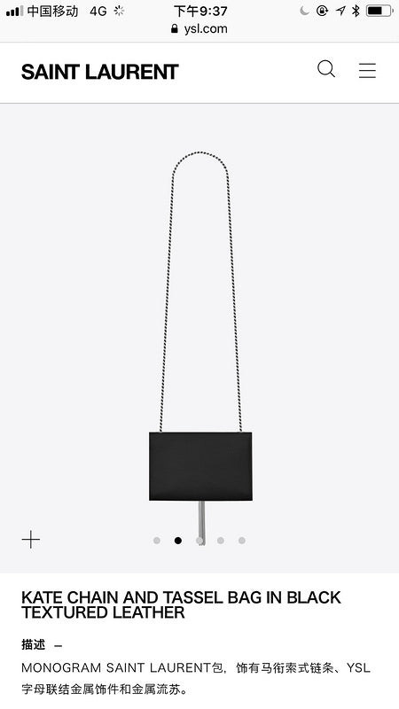 BB - YSL Bag - 3664