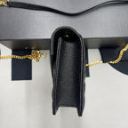 BB - YSL Bag - 2013