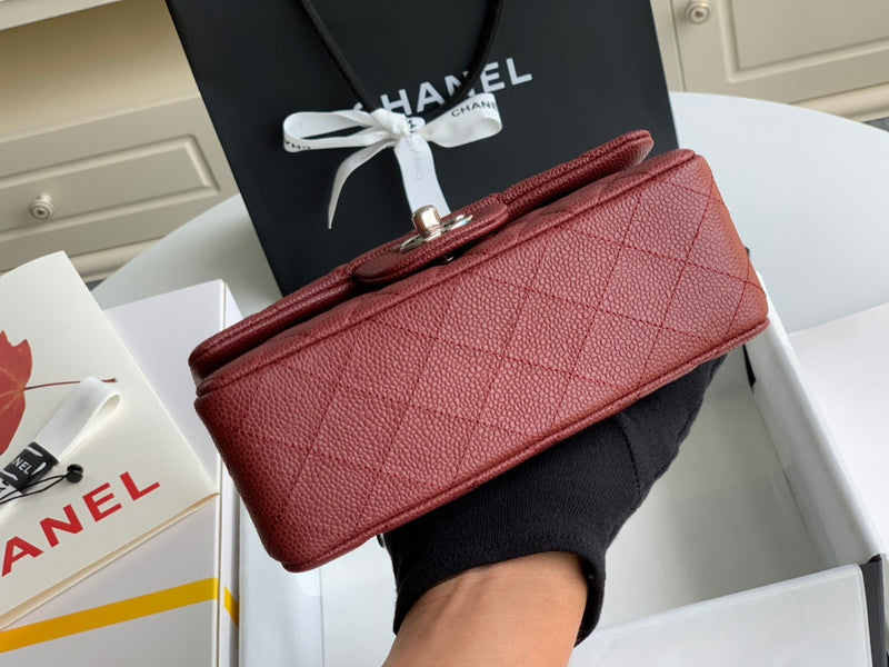 LO - CHL  BAGS FOR WOMEN - FASHION LUXURY BAGS - 1067