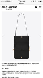 BB - YSL Bag - 3601
