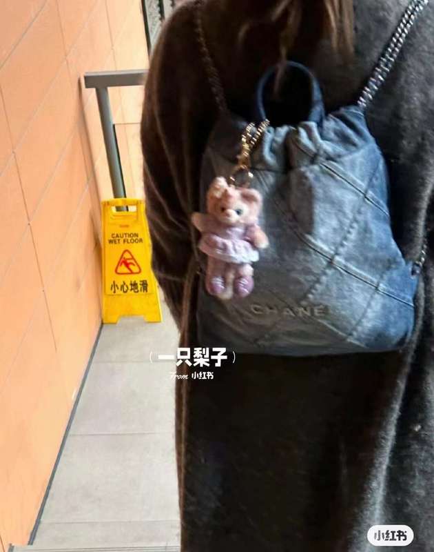 LO - CHL  BAGS FOR WOMEN - FASHION LUXURY BAGS - 365