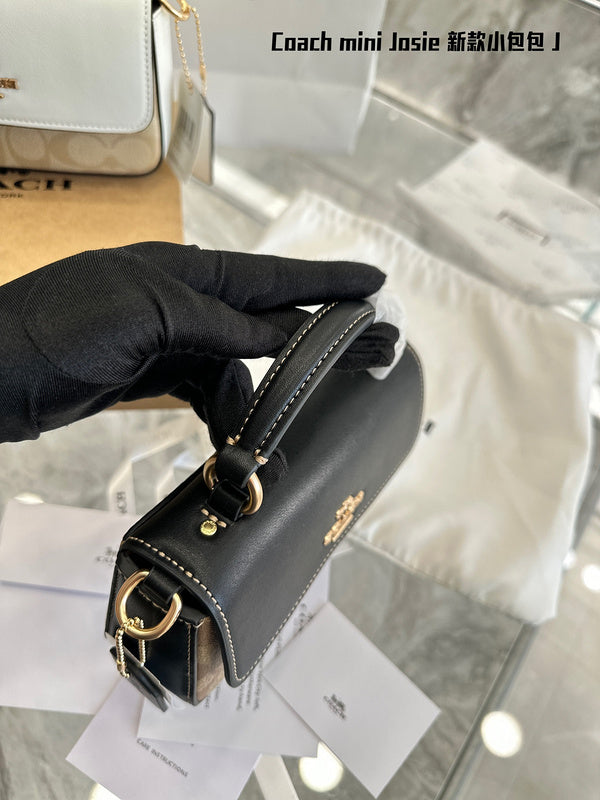 LO - CCH Bags - 304