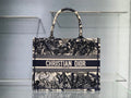 LO - DYOR   BAGS FOR WOMEN - FASHION LUXURY BAGS 344