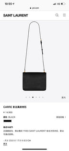 BB - YSL Bag - 3785
