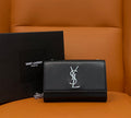 BB - YSL Bag - 2019