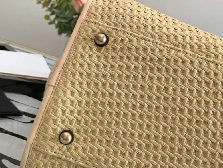 LO - CHL  BAGS FOR WOMEN - FASHION LUXURY BAGS -2231