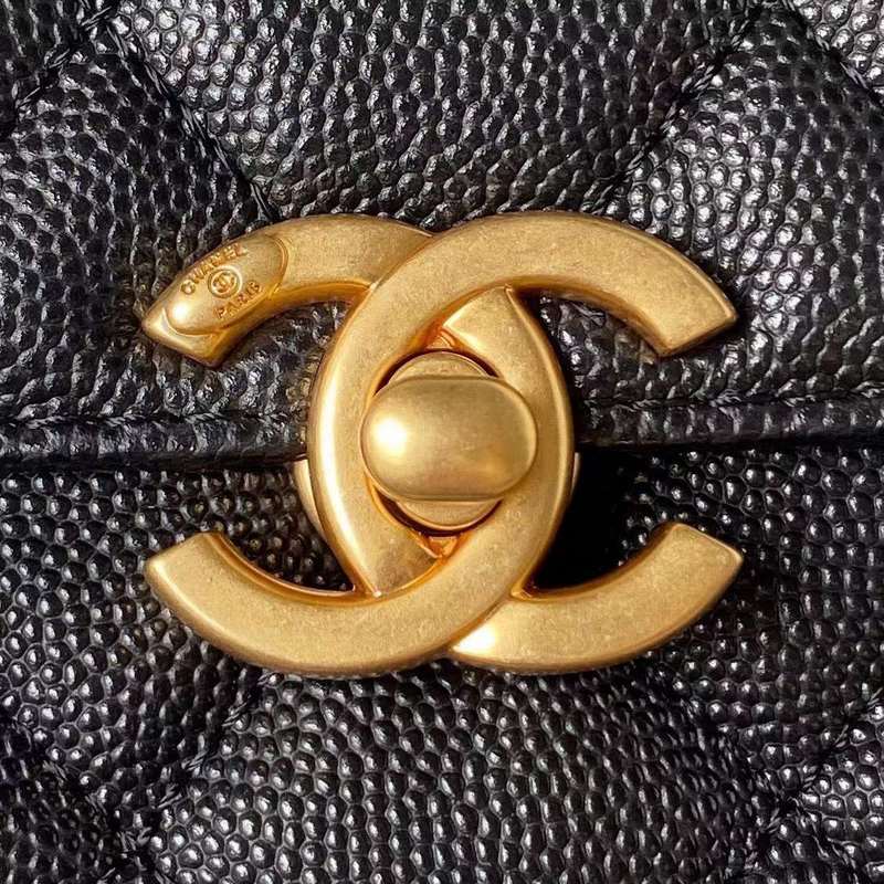 LO - CHL  BAGS FOR WOMEN - FASHION LUXURY BAGS - 311