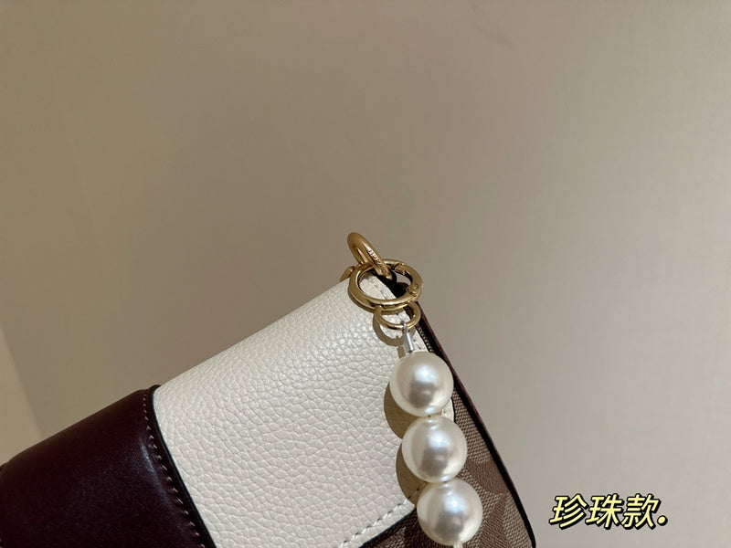 LO - CCH Bags - 250