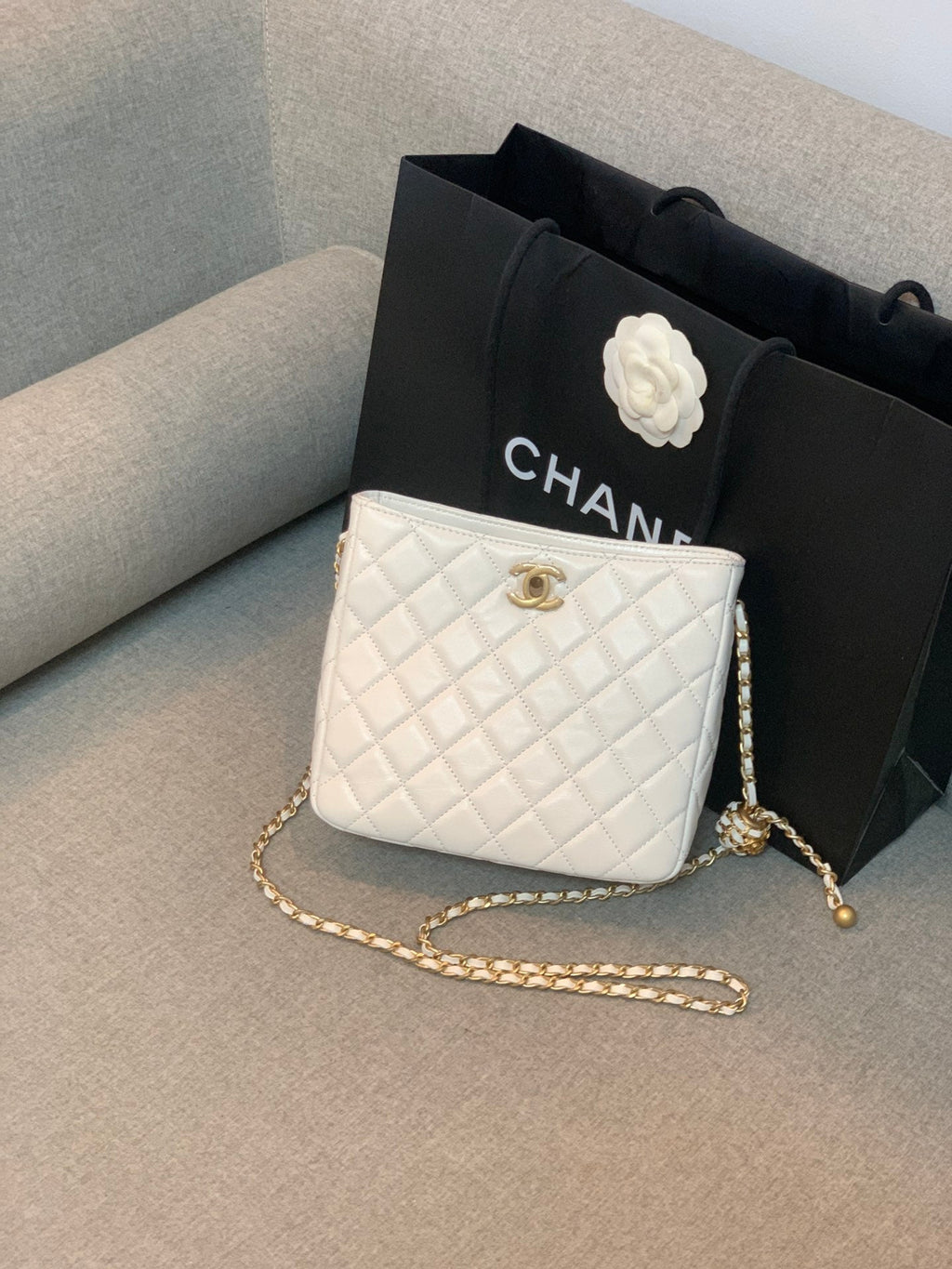 CHL - Hobo Handbag White Bag For Women 16LO/6in
