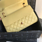 LO - CHL  BAGS FOR WOMEN - FASHION LUXURY BAGS -2218