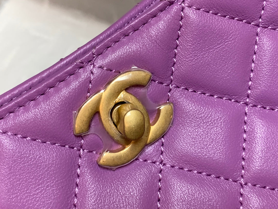 CHL - Hobo Handbag Purple Bag For Women 16LO/6in