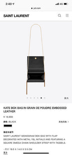 BB - YSL Bag - 3720