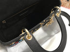 LO - DYOR   BAGS FOR WOMEN - FASHION LUXURY BAGS 169