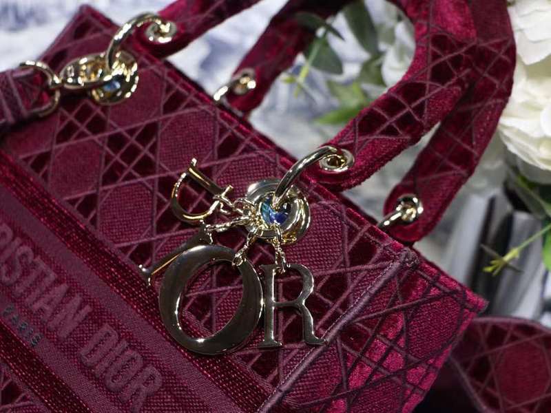 LO - DYOR   BAGS FOR WOMEN - FASHION LUXURY BAGS 491