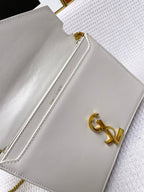 YSL BAGS - WOMEN LOVE LUXURY BAGS - 1171