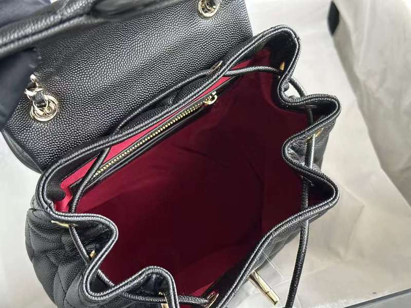 LO - CHL  BAGS FOR WOMEN - FASHION LUXURY BAGS - 333