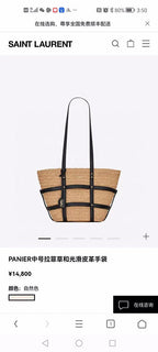 BB - YSL Bag - 3671
