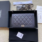 LO - CHL  BAGS FOR WOMEN - FASHION LUXURY BAGS - 436