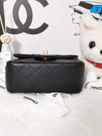 LO - CHL Bags - 2439