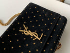 BB - YSL Bag - 2951
