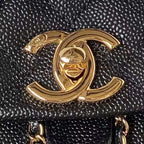 LO - CHL  BAGS FOR WOMEN - FASHION LUXURY BAGS - 364
