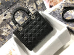 LO - DYOR   BAGS FOR WOMEN - FASHION LUXURY BAGS 111