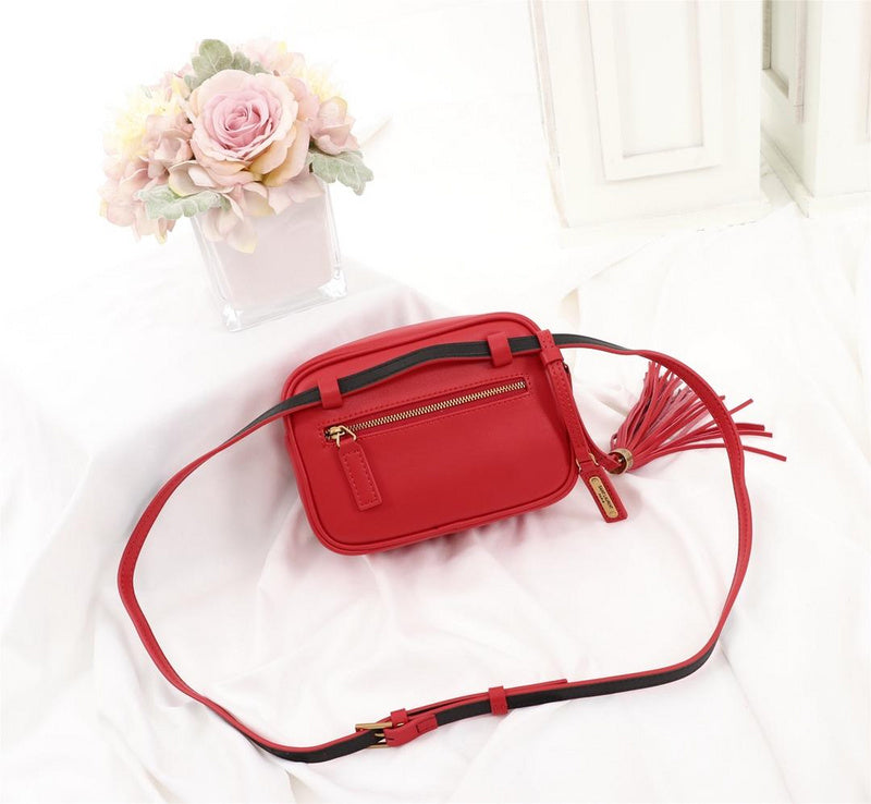 BB - YSL Bag - 2546