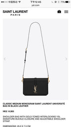 BB - YSL Bag - 3601