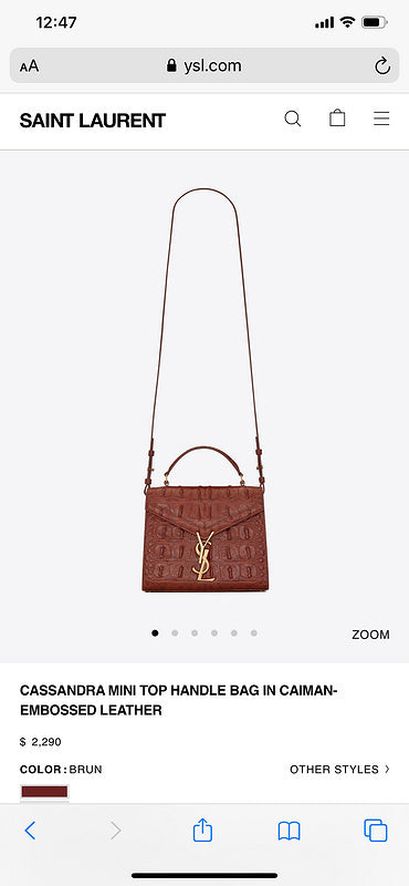 BB - YSL Bag - 3747