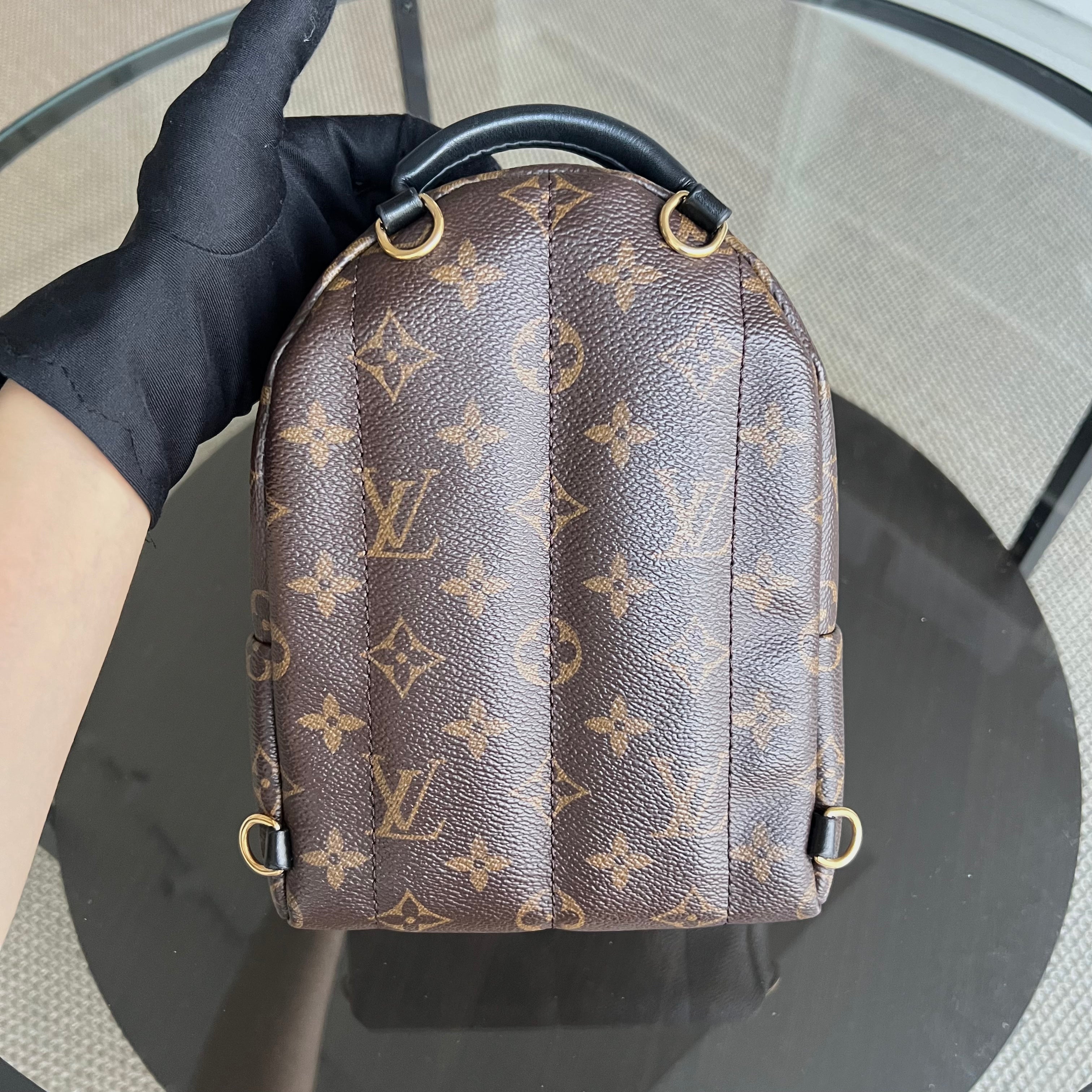 Palm Springs Mini