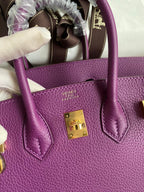 Hermes 2025 Birkin Bag Purple With Gold Hardware Epsom Leather