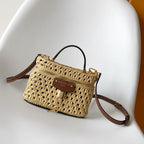 LV Vanity Chain Pouch 19cm Brown Raffia & Cowhide GHW