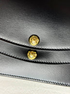 Celin Duo Wallet On Strap Triomphe Black Calfskin