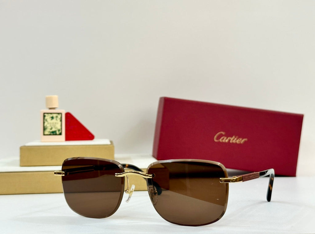 PREMIÈRE SQUARE FRAME SUNGLASSES 530304 IN METAL AND WOODEN