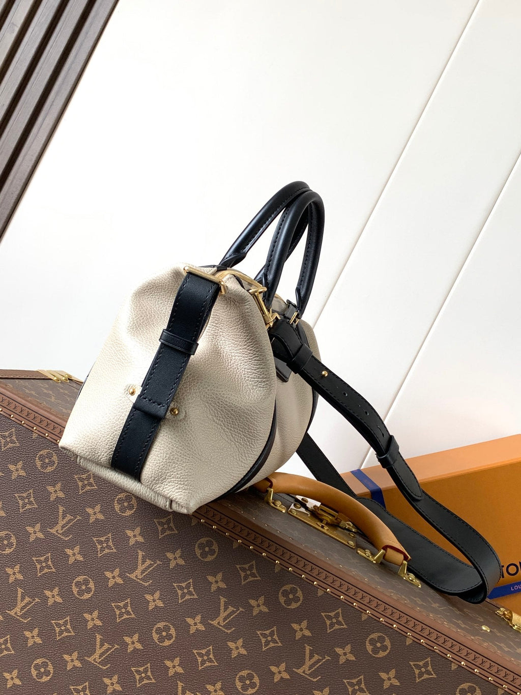 LV Nano LV Biker 38cm Black Beige Sheepskin & Cowhide Metal