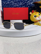 SANTOS RECTANGULAR FRAME SUNGLASSES CT0473S IN METAL