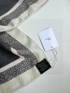 DIOR SCARF 140 CM IN CASHMERE-SILK BLEND 699256