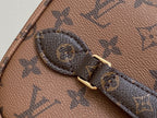 LV Nice BB Bag 24cm Brown Canvas Cowhide 320699