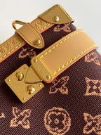 Louis Vuitton 2026 Side Trunk MM Bag Brown Tan Monogram Canvas Cowhide