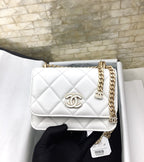 CHL - Spring And SuMM - er 22C White For Women Bags 6.1in/15.5LO