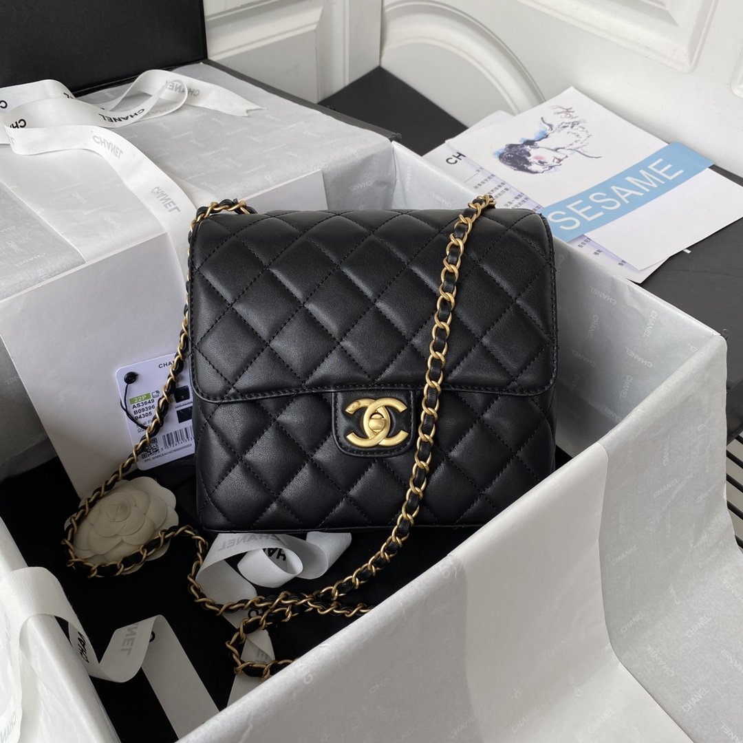 CHL - Small Floor Pack Black For Women Bags 7.6in/19.5LO
